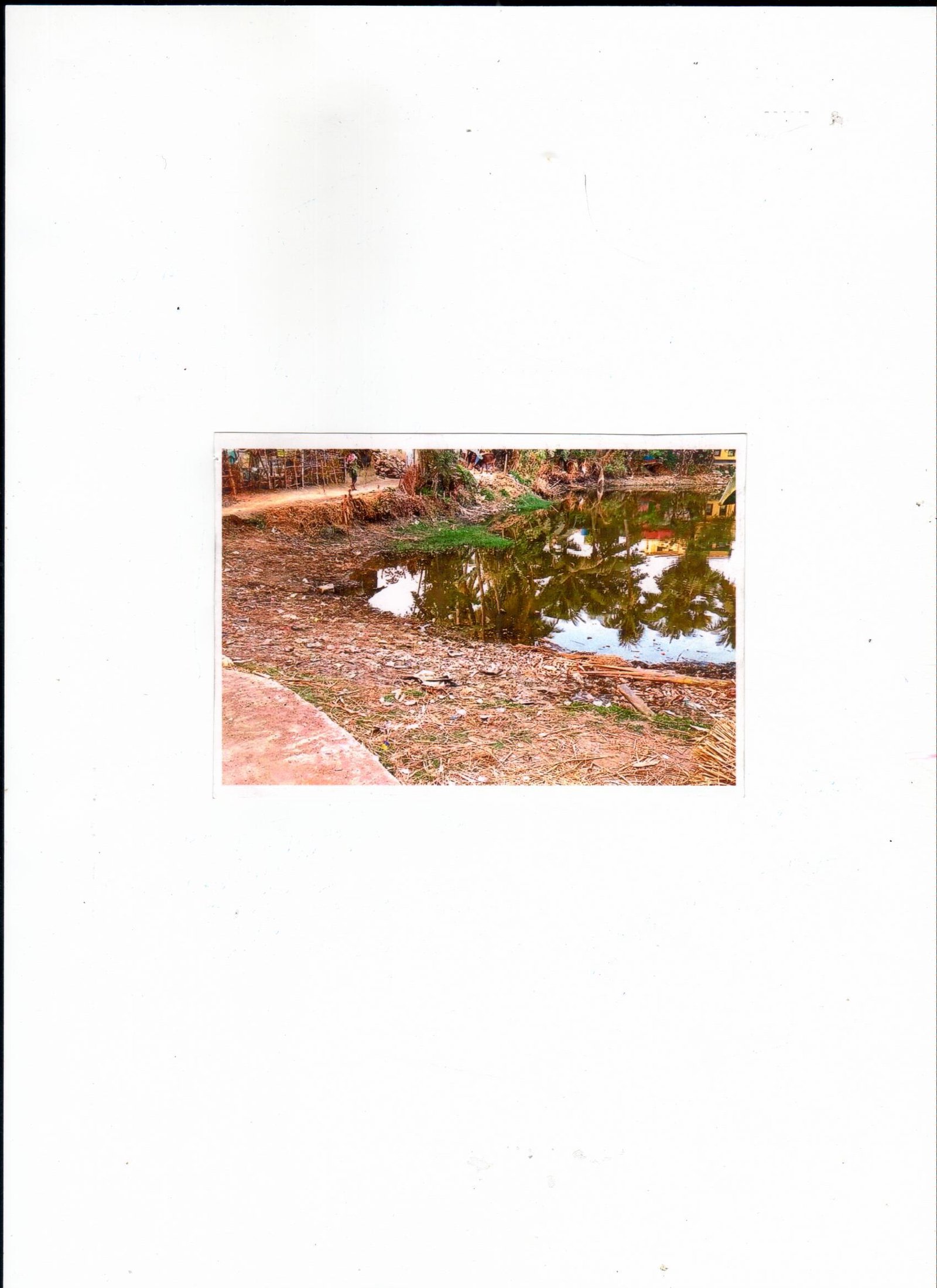 Sample Alt