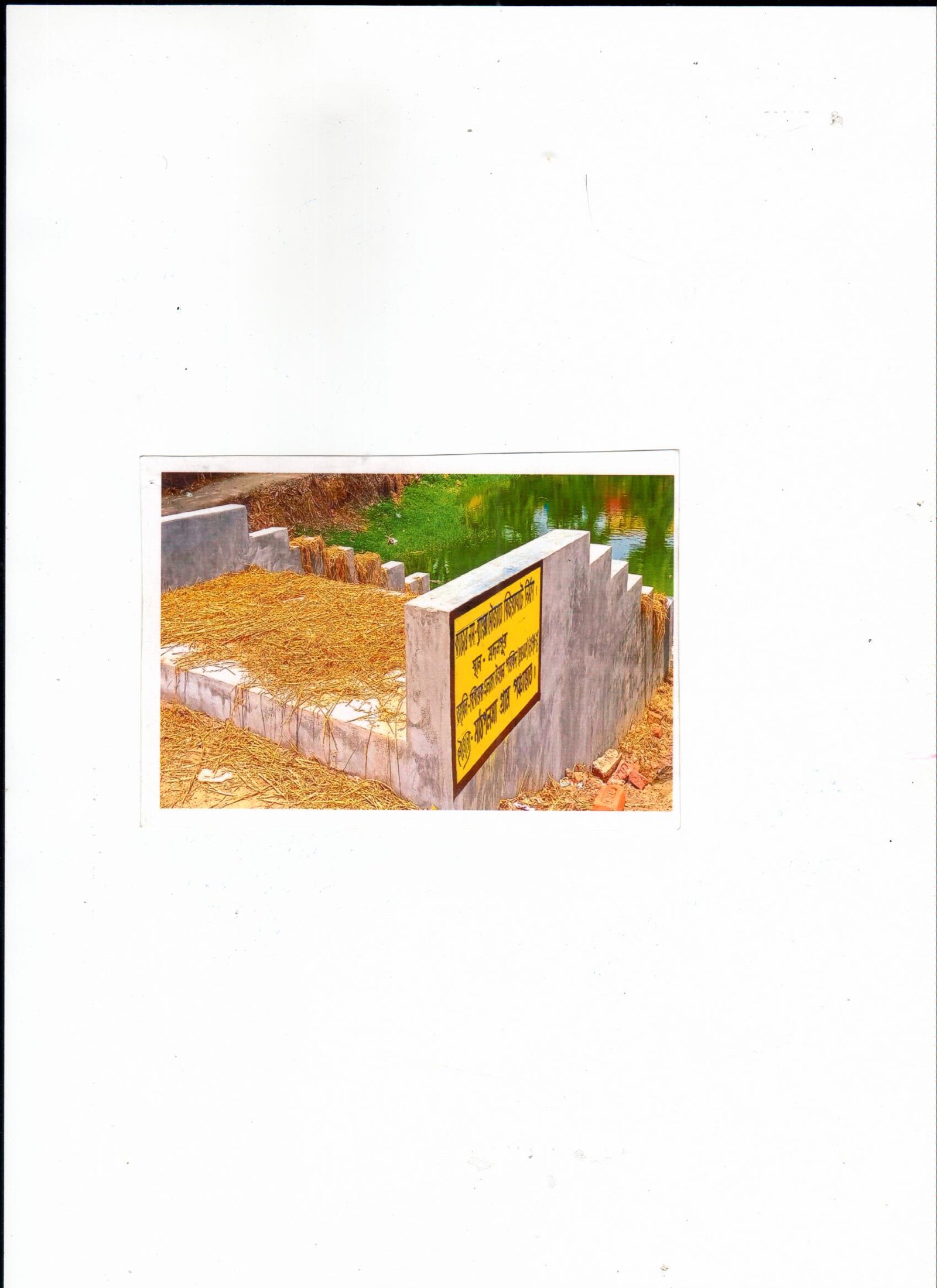 Sample Alt